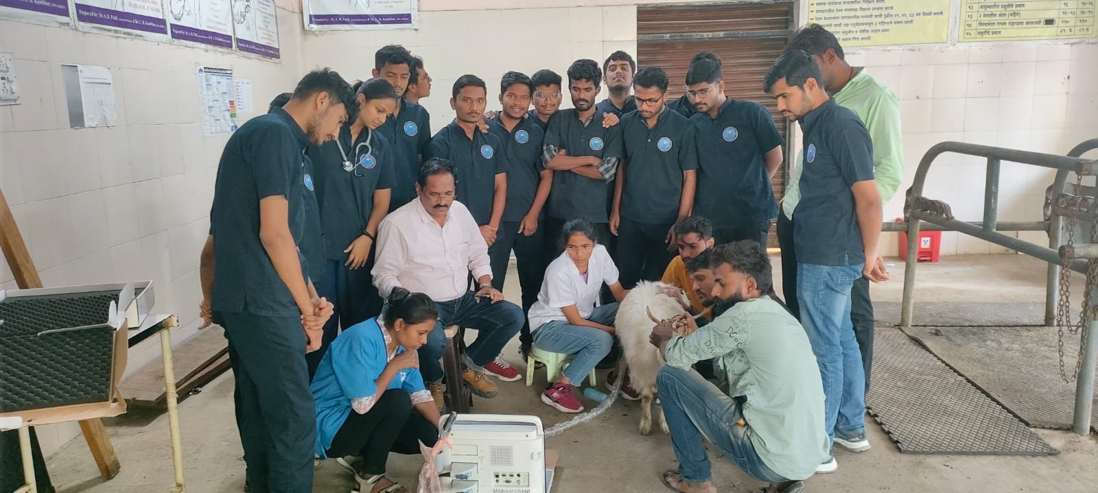 Gynecology Animal Ultrasonography Facility1